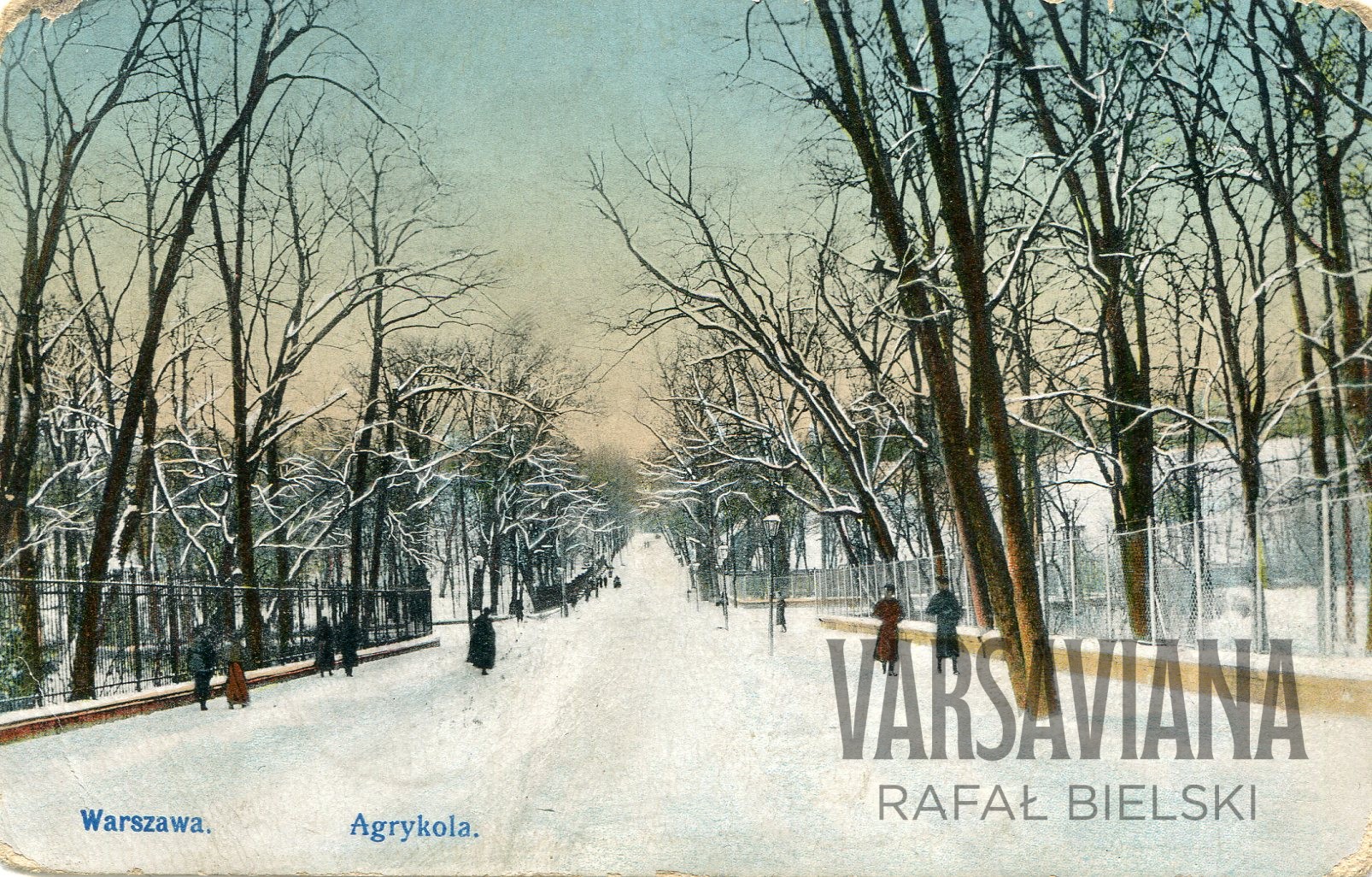 Agrykola