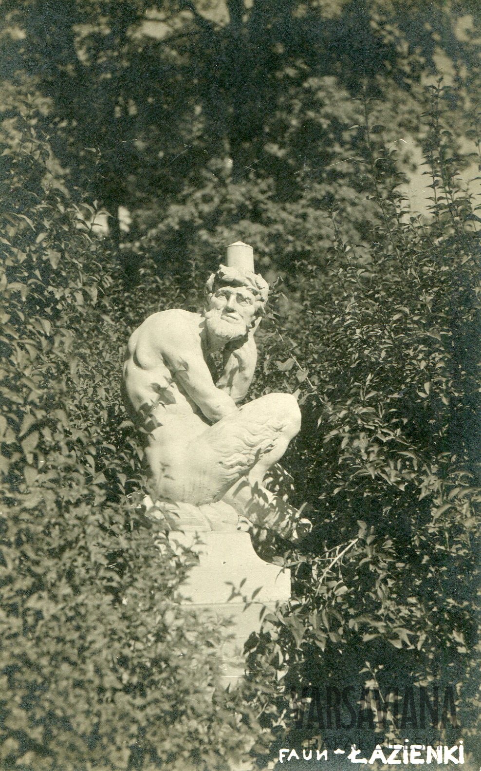 Faun