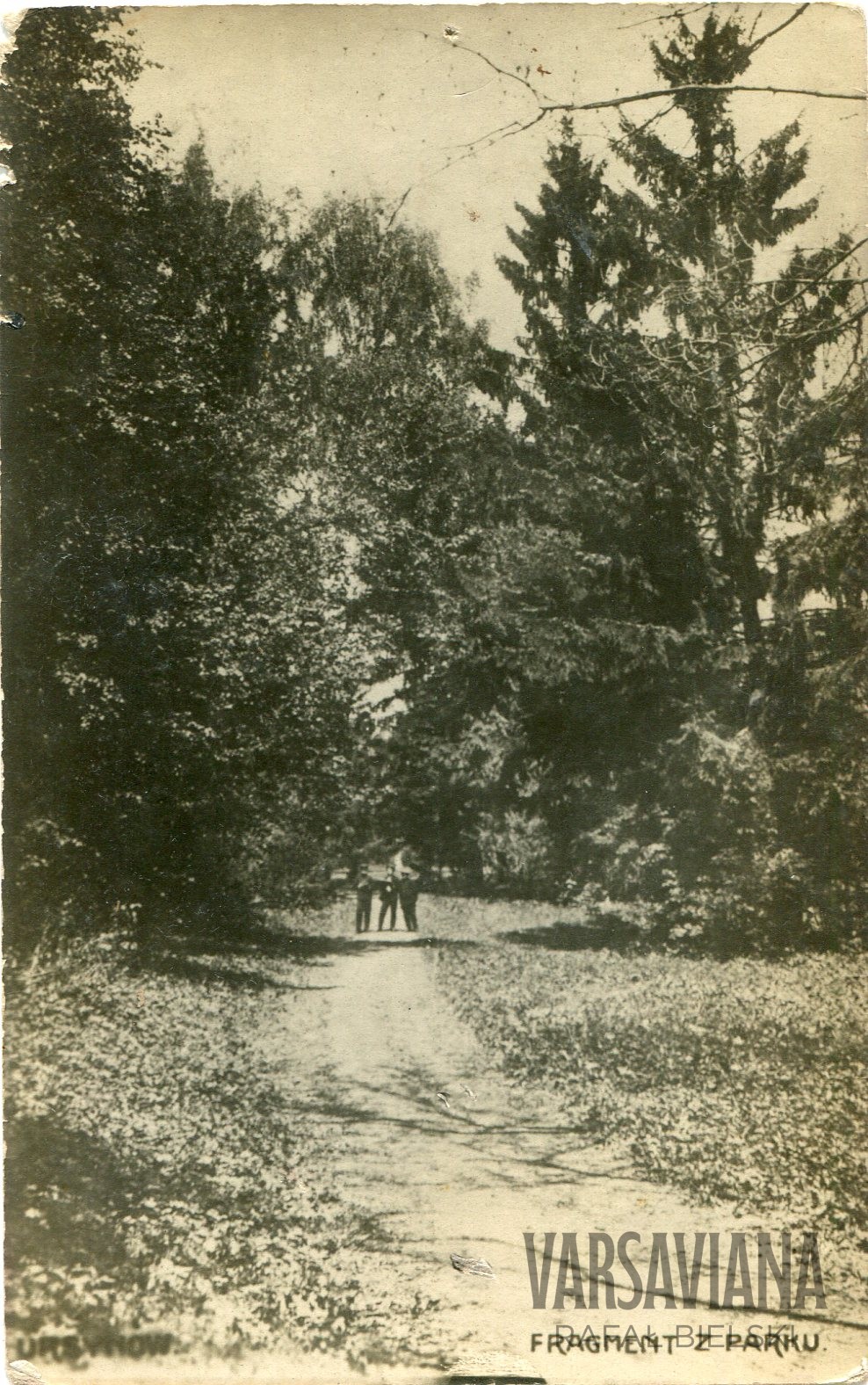 Pałac Krasińskich – Rozkosz
